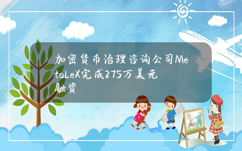 加密货币治理咨询公司MetaLeX完成275万美元融资